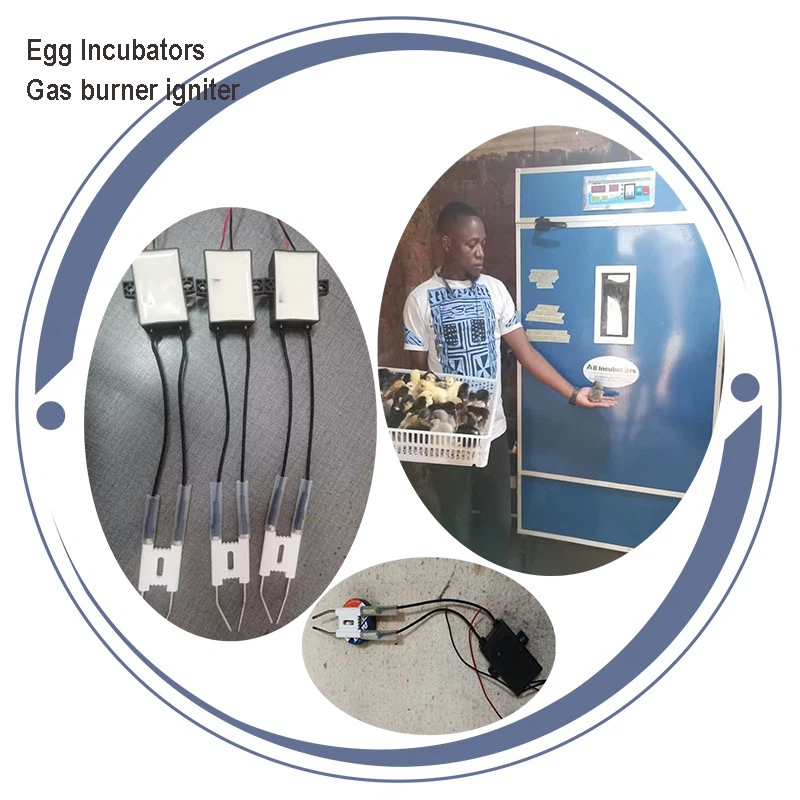 timer-controlled gas burner igniters timer-controlled gas burner igniters